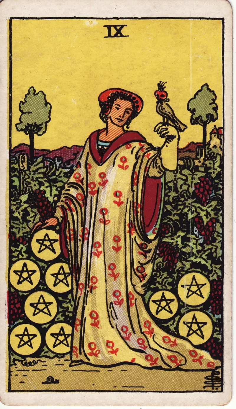 Nine of Pentacles Tarot Card